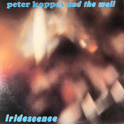 Peter Koppes / The Well Iridescence USED VINYL 12INCH 45 RPM
