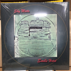 The Sky Mata Smile Hotel Vinyl LP USED