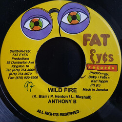 Anthony B / Ninja Ford Wild Fire / Never See Mi Done USED VINYL 7INCH 45 RPM