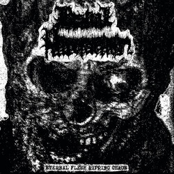 Bestial Putrefaction Eternal Flesh Ripping Chaos USED VINYL 12INCH 33 S RPM COMPILATION