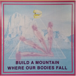 Andrew Weathers Ensemble Build A Mountain Where Our Bodies Fall Vinyl LP USED