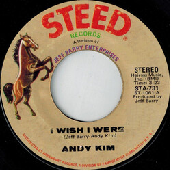 Andy Kim I Wish I Were USED VINYL 7INCH 45 RPM SINGLE