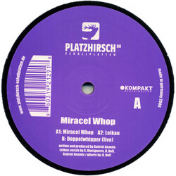 Gabriel Ananda Miracel Whop USED VINYL 12INCH 33 S RPM 45 RPM