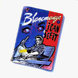 Blancmange I Can See It USED VINYL 7INCH 45 RPM SINGLE STEREO