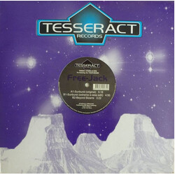 Freejack Sunburst USED VINYL 12INCH