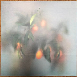 µ-Ziq / Mrs Jynx Secret Garden Vinyl LP USED