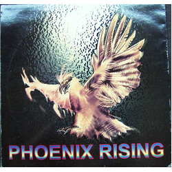 Section X Galaxian USED VINYL 12INCH