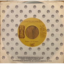 Terry Lee Stacey Love Don't Know A Lady / Loving Here And Living There USED VINYL 7INCH 45 RPM SINGLE