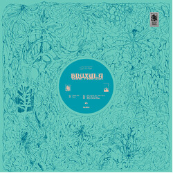 Bruxula Dark Farfisa USED VINYL 12INCH EP