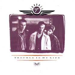 Trouble (2) Trouble In My Life USED VINYL 12INCH 45 RPM