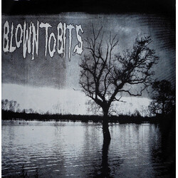 Blown To Bits Blown To Bits Benefit Record Vinyl LP USED