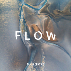 Various Flow Vinyl LP USED