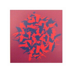 Vibracathedral Orchestra The Momentary Aviary Vinyl LP USED