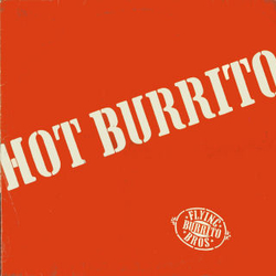 The Flying Burrito Bros Hot Burrito Vinyl LP USED