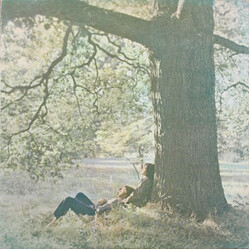 John Lennon / The Plastic Ono Band John Lennon / Plastic Ono Band Vinyl LP USED