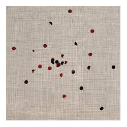 Nonpareils Scented Pictures Vinyl LP USED