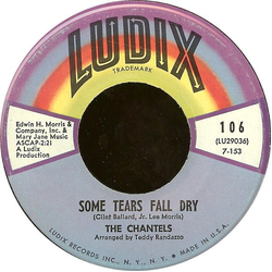 The Chantels Some Tears Fall Dry / That's Why You're Happy Vinyl 7" USED