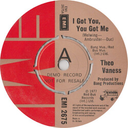 Theo Vaness I Got You, You Got Me USED VINYL 7INCH PROMO