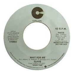 Slave Wait For Me USED VINYL 7INCH 45 RPM SINGLE PROMO STEREO MONO
