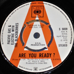 Pacific Gas & Electric / Blackberries Are You Ready? USED VINYL 7INCH 45 RPM PROMO