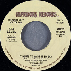 Sea Level It Hurts To Want It So Bad USED VINYL 7INCH 45 RPM PROMO STYRENE STEREO
