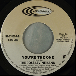 The Ross-Levine Band You're The One Vinyl 7" USED