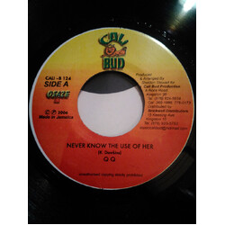 QQ (2) Never Know The Use Of Her USED VINYL 7INCH 45 RPM