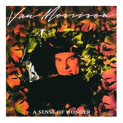 Van Morrison A Sense Of Wonder Vinyl LP USED