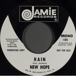 The New Hope Rain USED VINYL 7INCH 45 RPM PROMO STEREO MONO