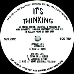 It's Thinking Afterglow USED VINYL 12INCH 33 S RPM