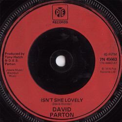 David Parton Isn't She Lovely Vinyl 7" USED