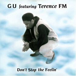 Glenn Underground / Terence FM Don't Stop The Feelin' USED VINYL 12INCH 33 S RPM