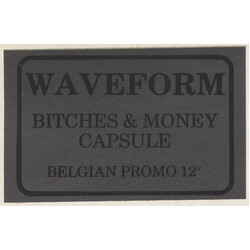 Waveform (3) Bitches & Money / Capsule USED VINYL 12INCH 45 RPM PROMO