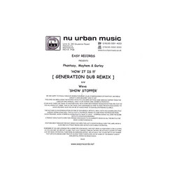 DJ Phantasy / DJ Mayhem / Steve Gurley / Weva How It Is (Generation Dub Remix) / Show Stoppa USED VINYL SINGLE 12INCH WHITE LABEL PROMO