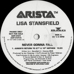 Lisa Stansfield Never Gonna Fall Vinyl 12" USED