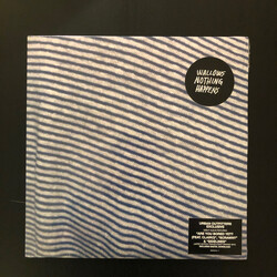 Wallows Nothing Happens Vinyl LP USED