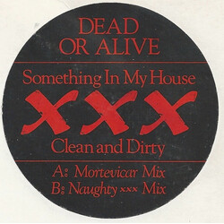 Dead Or Alive Something In My House (XXX Clean And Dirty) USED VINYL 12INCH PROMO WHITE LABEL 45 RPM