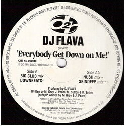 DJ Flava Everybody Get Down On Me! USED VINYL 12INCH 33 S RPM