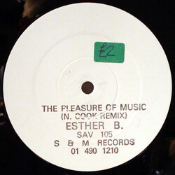 Ester B The Pleasure Of The Music (N. Cook Remix) USED VINYL 12INCH 45 RPM WHITE LABEL