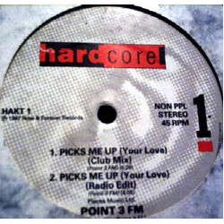 Point 3 FM Picks Me Up (Your Love) USED VINYL 12INCH 45 RPM STEREO