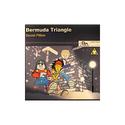 Bermuda Triangle (2) Secret Pillow USED VINYL 12INCH