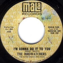 The Birdwatchers I'm Gonna Do It To You USED VINYL 7INCH 45 RPM PROMO