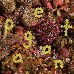 PWR BTTM Pageant Vinyl LP USED
