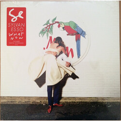 Sylvan Esso What Now Vinyl LP USED