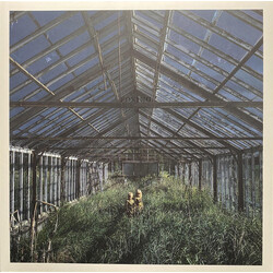 Foxing Dealer Vinyl LP USED