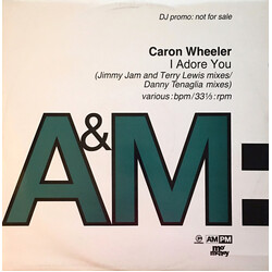 Caron Wheeler I Adore You USED VINYL 12INCH PROMO