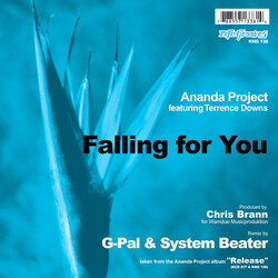 The Ananda Project / Terrance Downs Falling For You USED VINYL 12INCH 33 S RPM