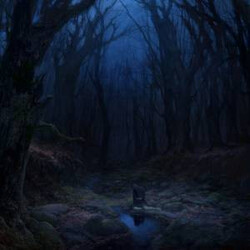 Woods Of Desolation Torn Beyond Reason Vinyl LP USED