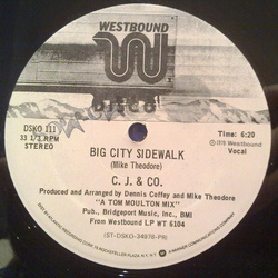 C.J. & Co Big City Sidewalk Vinyl 12" USED