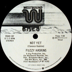Fuzzy Haskins Not Yet / I Think I Got My Thang Together USED VINYL 12INCH 33 S RPM PROMO